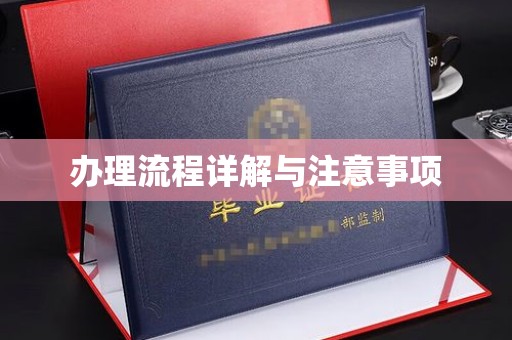 岫岩办理流程详解与注意事项